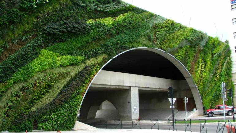 Zielone ściany w przestrzeni miejskiej