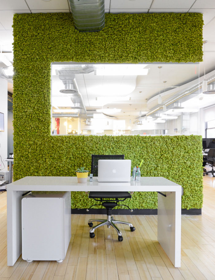 Zielona ściana w biurze