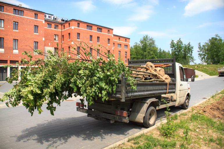 Nasadzenia drzew w Sanktuarium w Krakowie-Łagiewnikach
