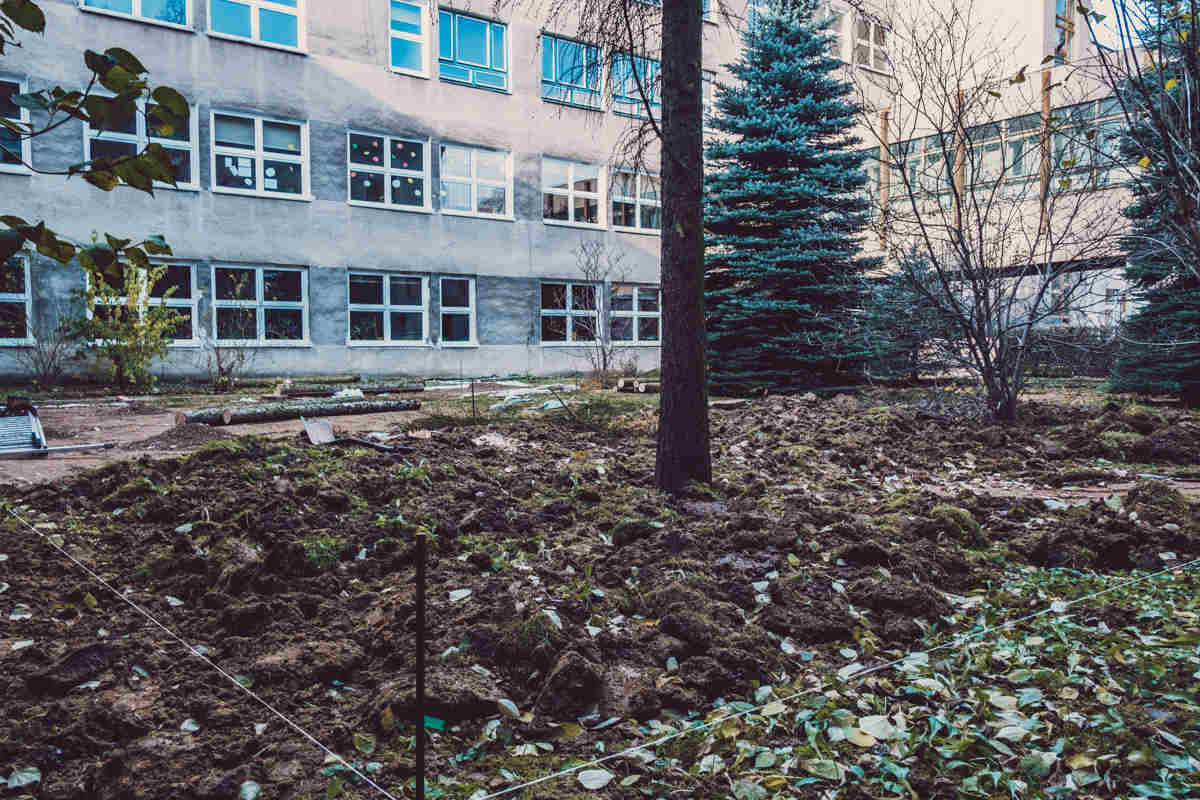 Ogród przy szkole podstawowej nr 149 w Krakowie