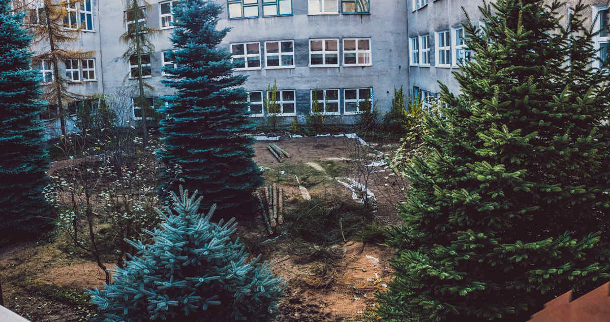 Ogród przy szkole podstawowej nr 149 w Krakowie