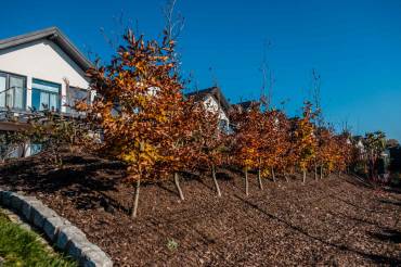 Jak zasłonić nieciekawy widok w ogrodzie? Realizacja skarpy i strefy jacuzzi w Krakowie
