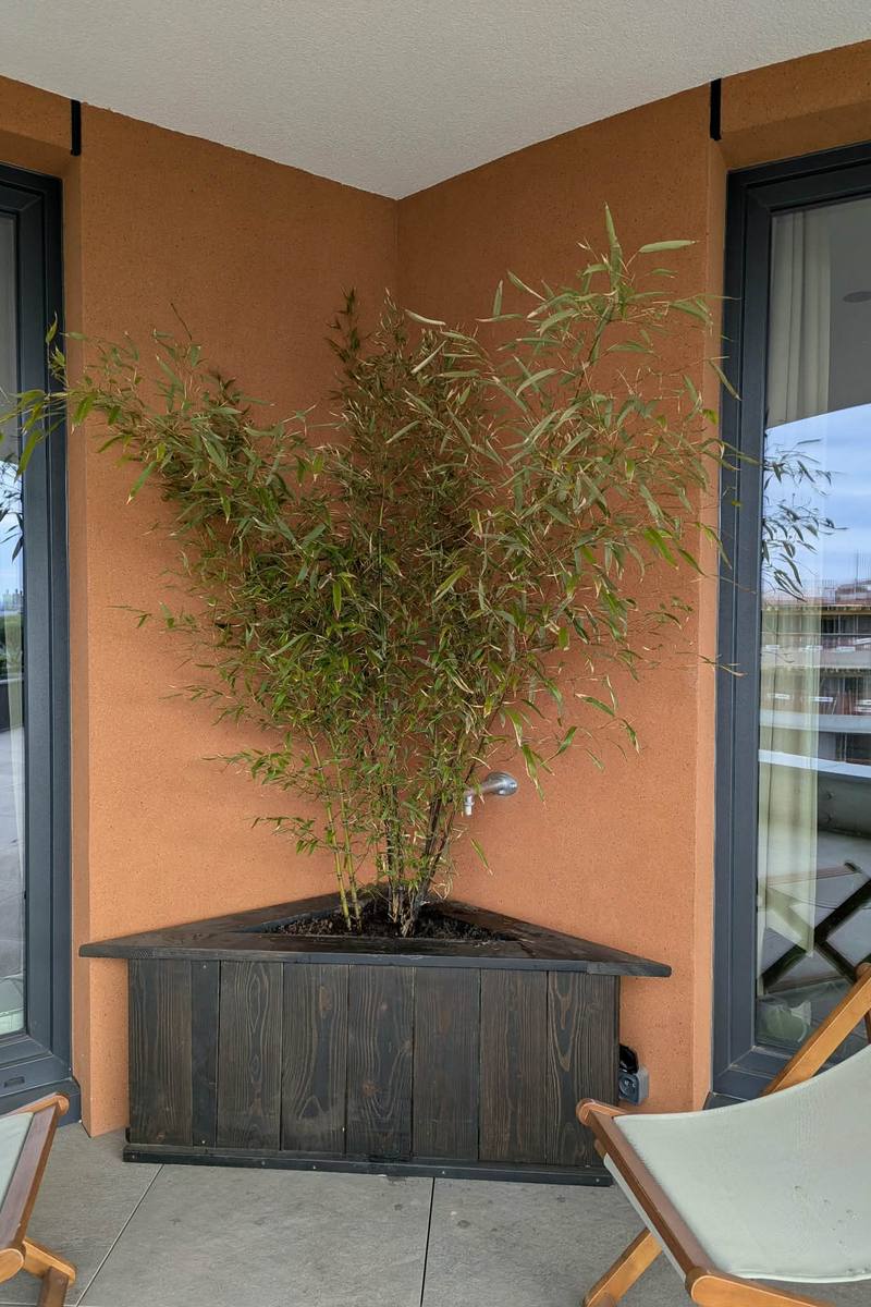 Aranżacja tarasu w Krakowie na Wiślanych Tarasach